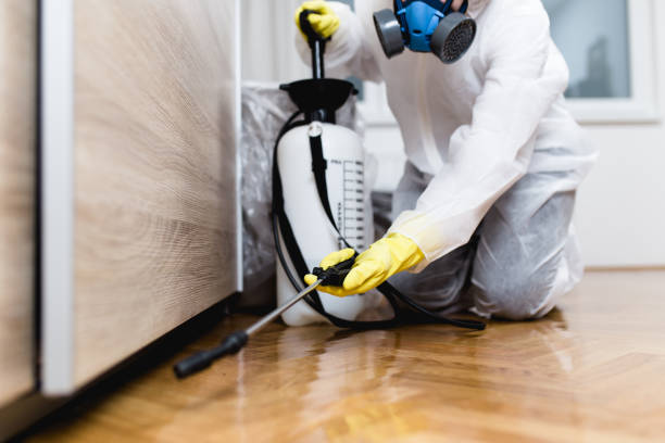  Kalida, OH Pest Control Pros