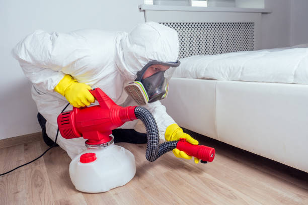 Best Pest Removal Services  in Kalida, OH
