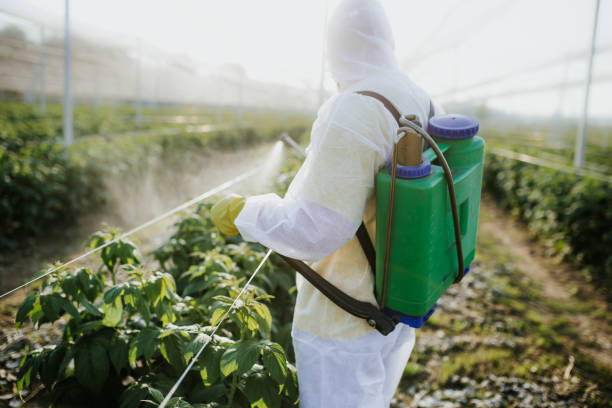 Best Affordable Exterminators  in Kalida, OH